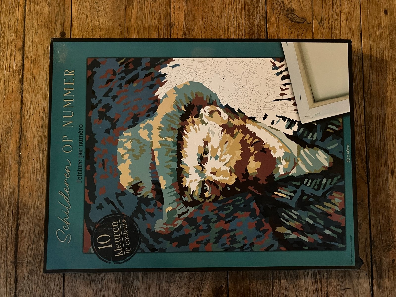 Schilderen op nummer - Van Gogh (Nieuw), Hobby en Vrije tijd, Ophalen of Verzenden, Nieuw, Schilderen op nummer