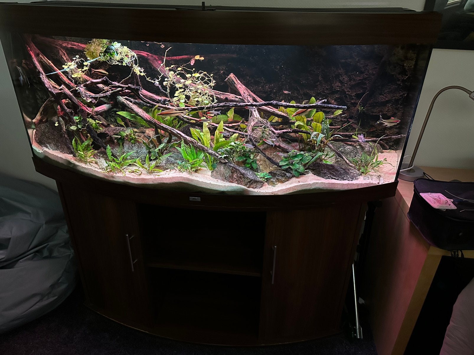 Juwel vision 450 liter, Ophalen, Gebruikt, Leeg aquarium
