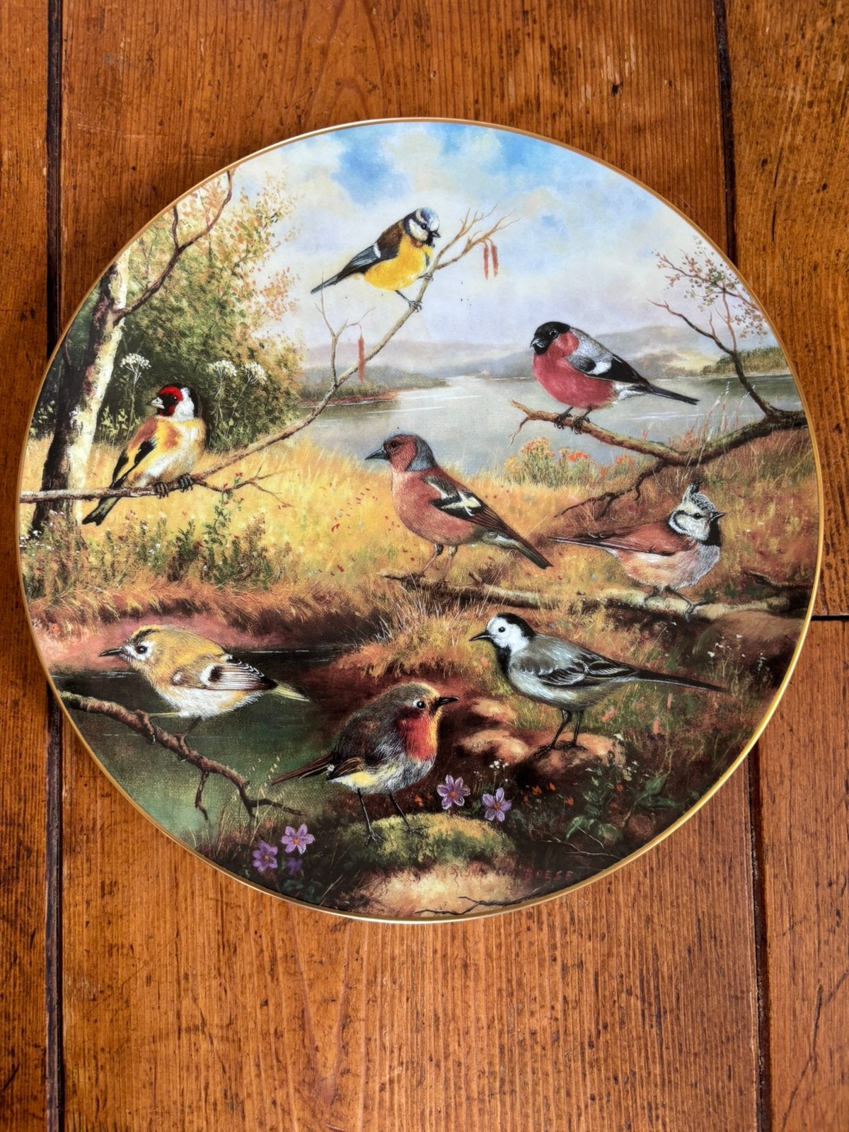 Bordje vogels vink witte kwikstaart goudhaantje putter, Ophalen of Verzenden