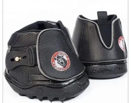 Equine fusion hoefschoenen mt 15, Ophalen of Verzenden, Zo goed als nieuw, Rijden