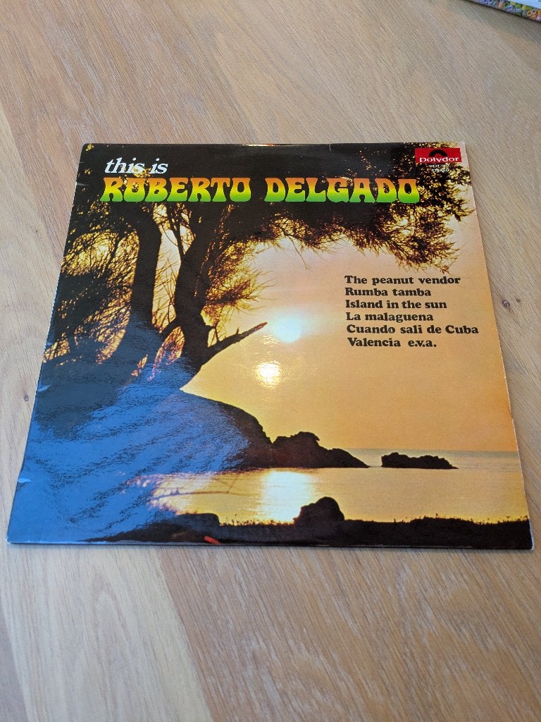 Roberto Delgado - This Is Roberto Delgado, Ophalen of Verzenden, Gebruikt, 12 inch