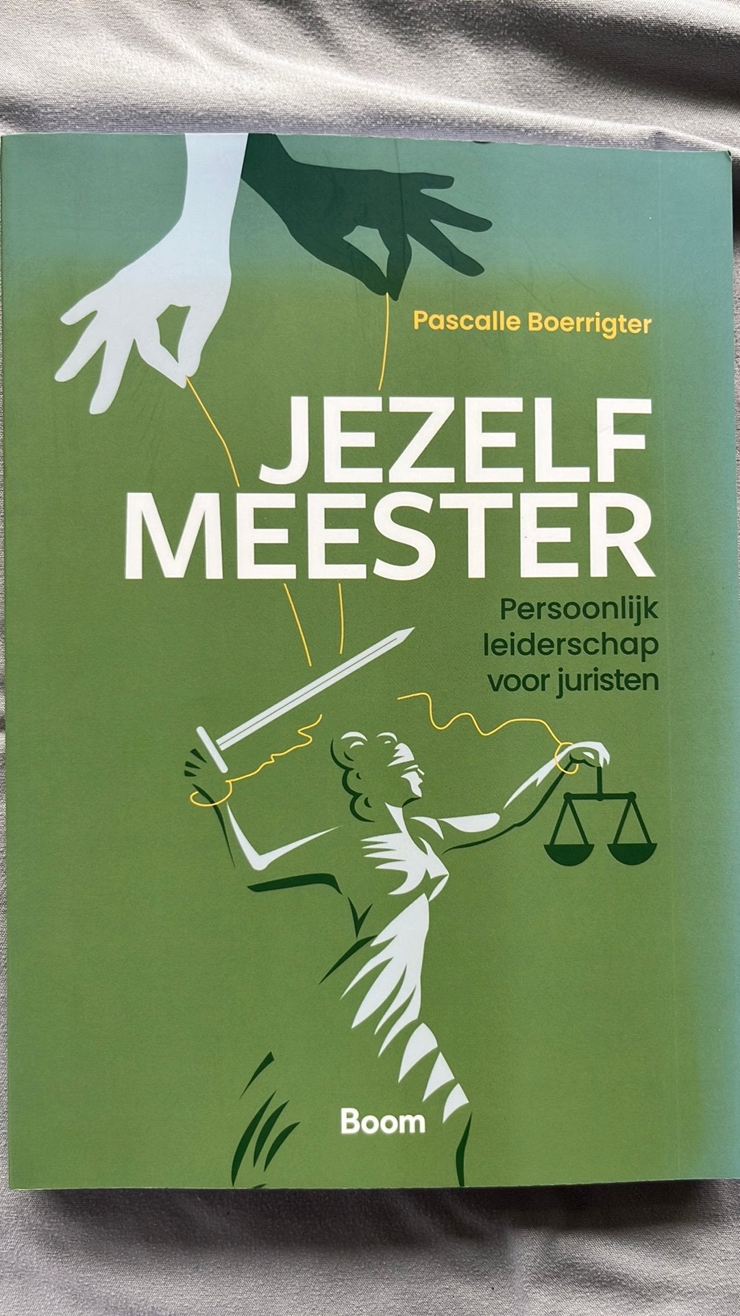Pascalle Boerrigter - Jezelf meester, Pascalle Boerrigter, Sociale wetenschap, Ophalen of Verzenden, Zo goed als nieuw