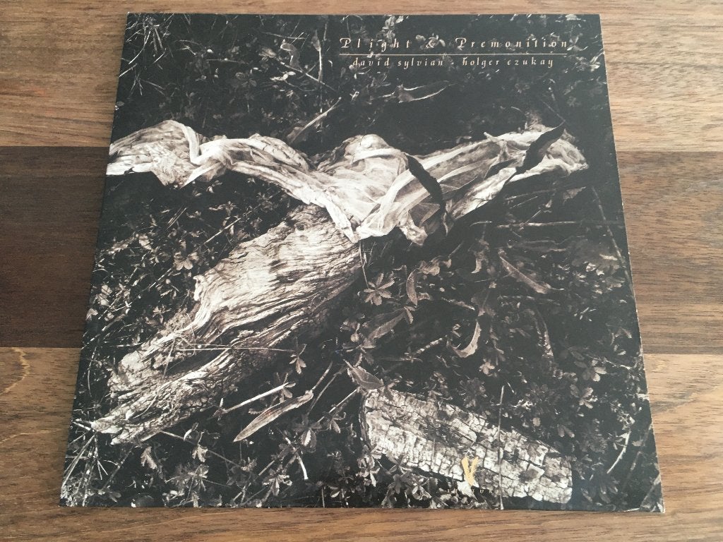Vinyl LP David Sylvian & Holger Czukay Plight & Premonition, LP, Gebruikt, Pop, Originele persing