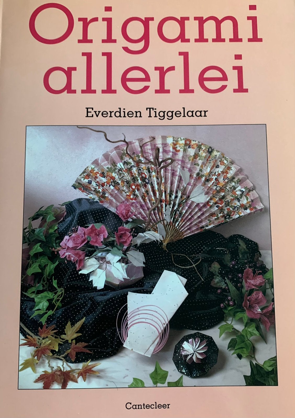 Origami Allerlei Everdien Tiggelaar, Ophalen of Verzenden, Zo goed als nieuw