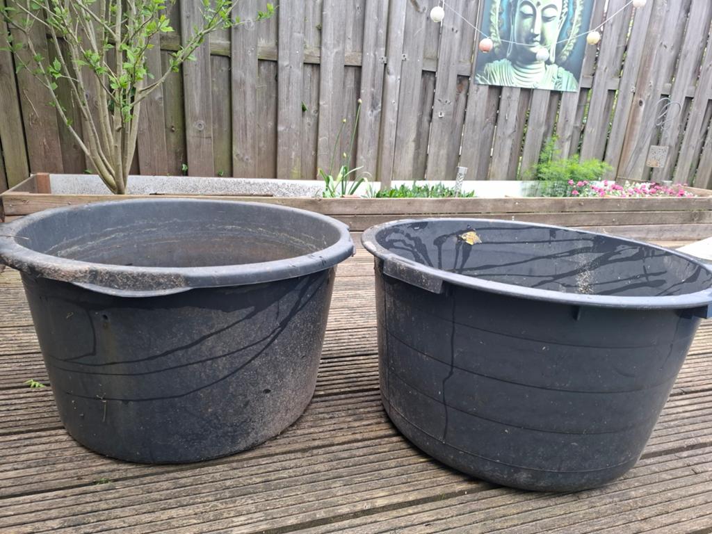 Speciekuip , 2 stuks, ze zijn 65 liter,mogen  ook per stuk, Tuin en Terras, Vijvers, Ophalen, Gebruikt