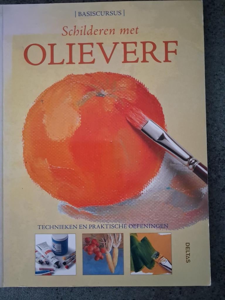 Gabriel Martin Roig - Basiscursus schilderen met olieverf., Gabriel Martin Roig, Ophalen of Verzenden, Zo goed als nieuw, Tekenen en Schilderen