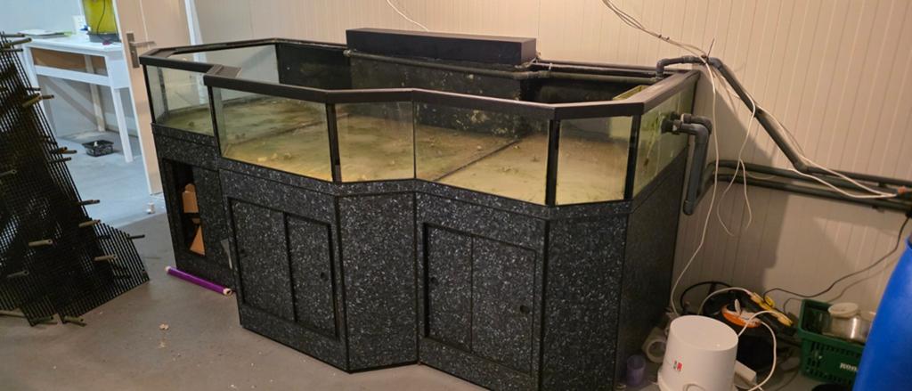 UNIEK! Shallow aquarium bakken, Ophalen, Leeg aquarium