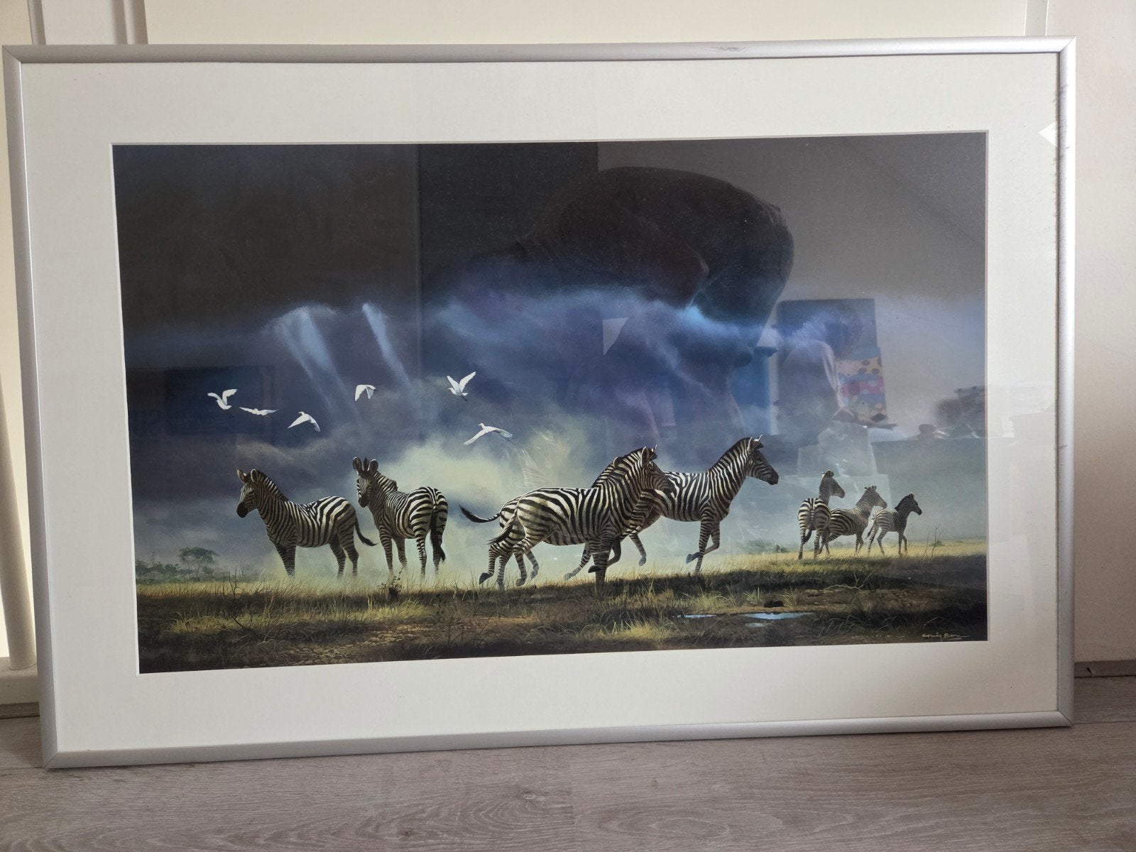 Ingelijste print van zebra's in de natuur, Ophalen, 50 – 75, 50 tot 75 cm, Print
