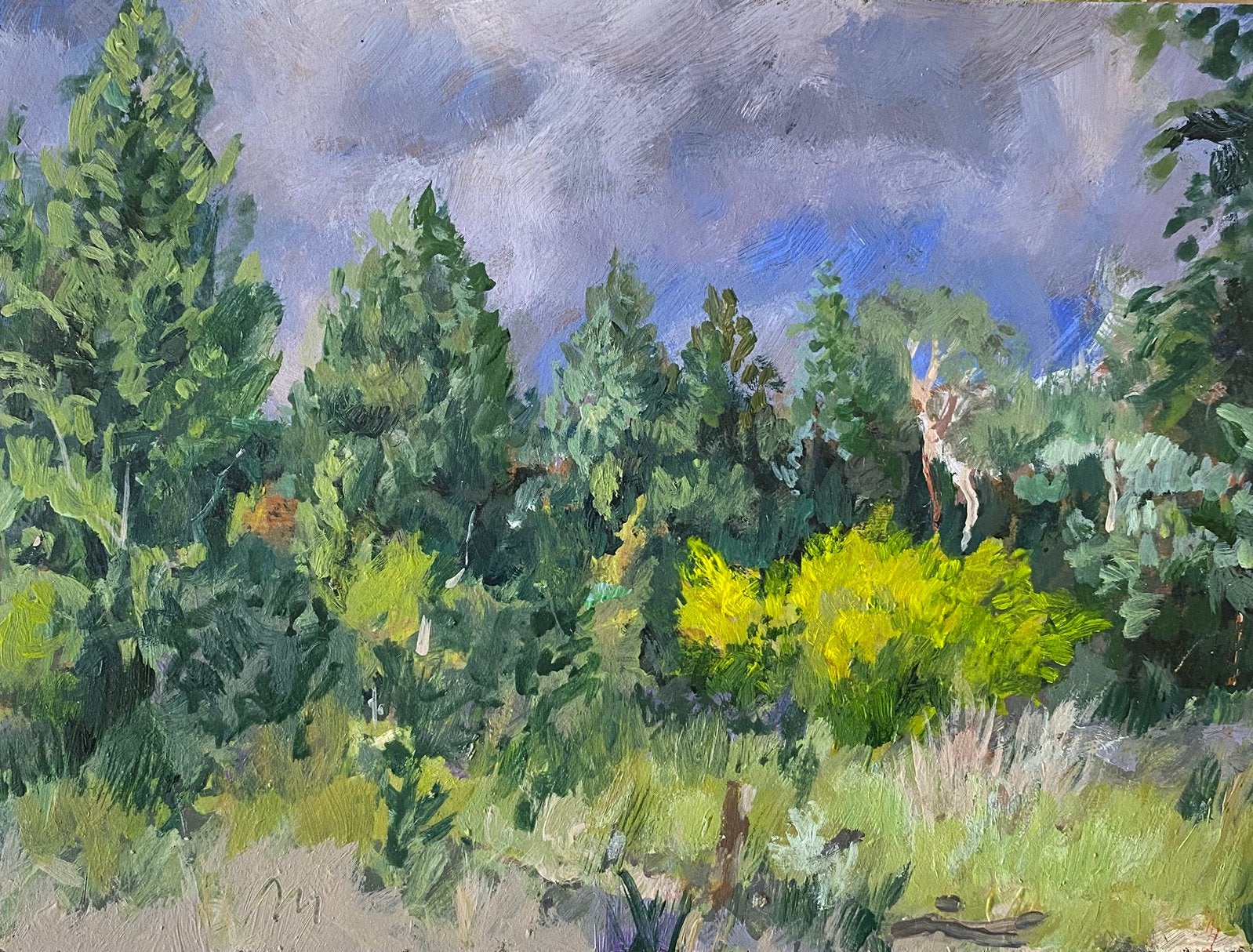 Landschap, Ophalen of Verzenden, Overige soorten, Minder dan 100 cm