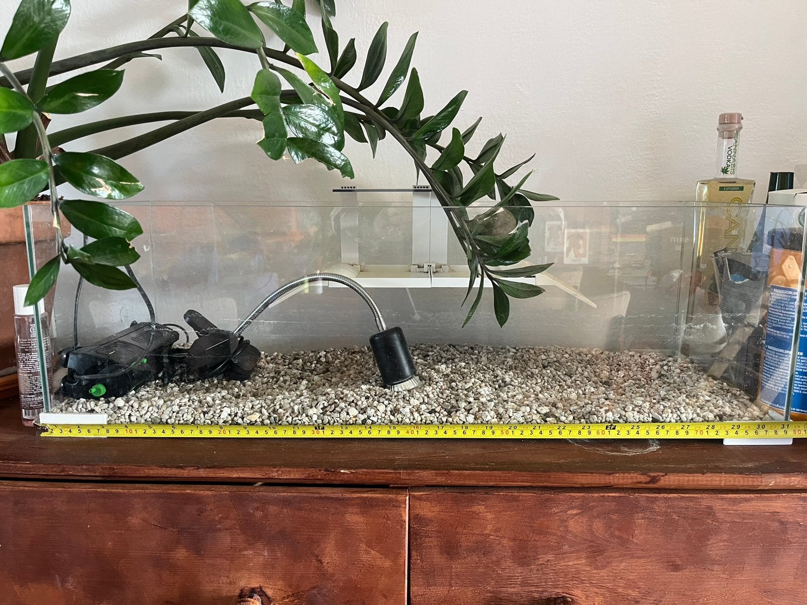 Terrarium gratis!, Ophalen, Gebruikt, Terrarium of Paludarium