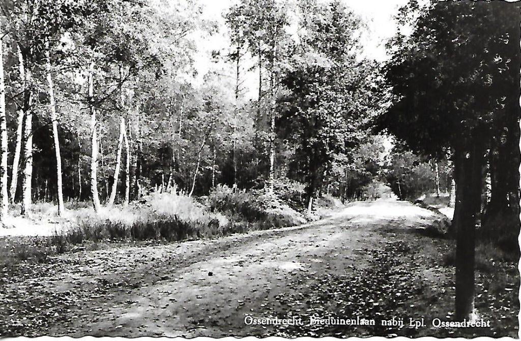 Ossendrecht- -Bieduinenlaan., Verzenden, 1960 tot 1980, Ongelopen, Noord-Brabant