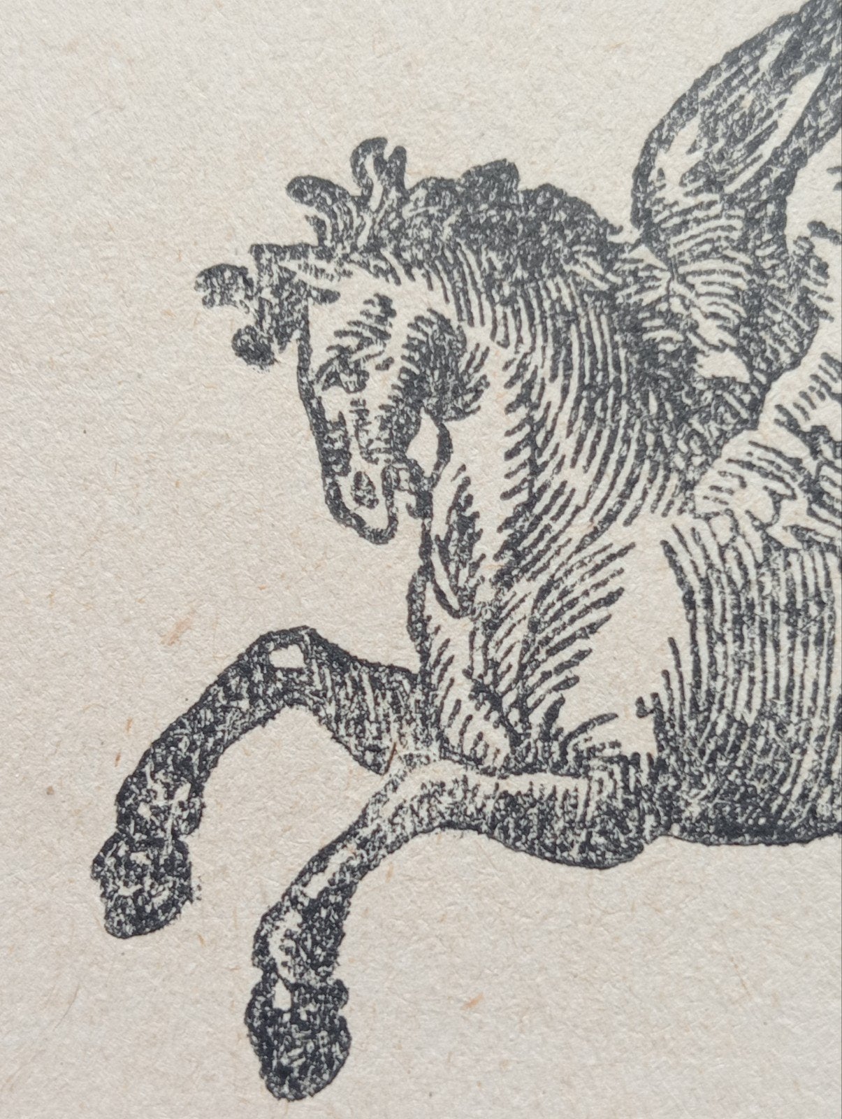 Albrecht Dürer Pegasus exlibris, Ophalen of Verzenden