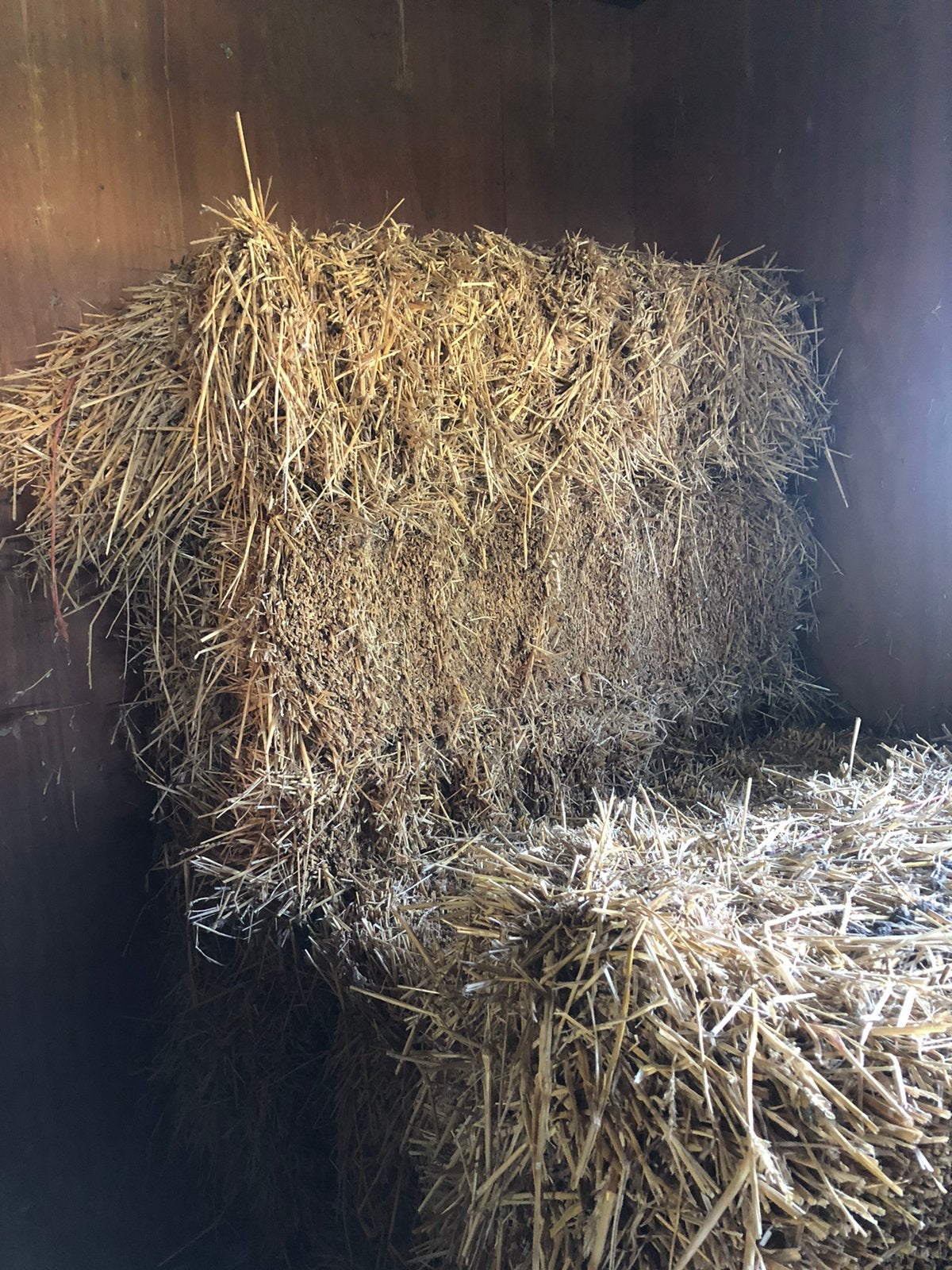 Gratis 15 balen stro, Dieren en Toebehoren, Dierenvoeding, Ophalen