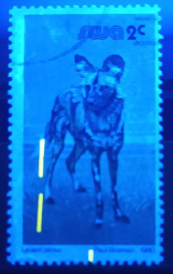 Zuid West Afrika 1980 Wilde hond zeldzame afstempeling, Postzegels en Munten, Verzenden, Overige landen, Gestempeld