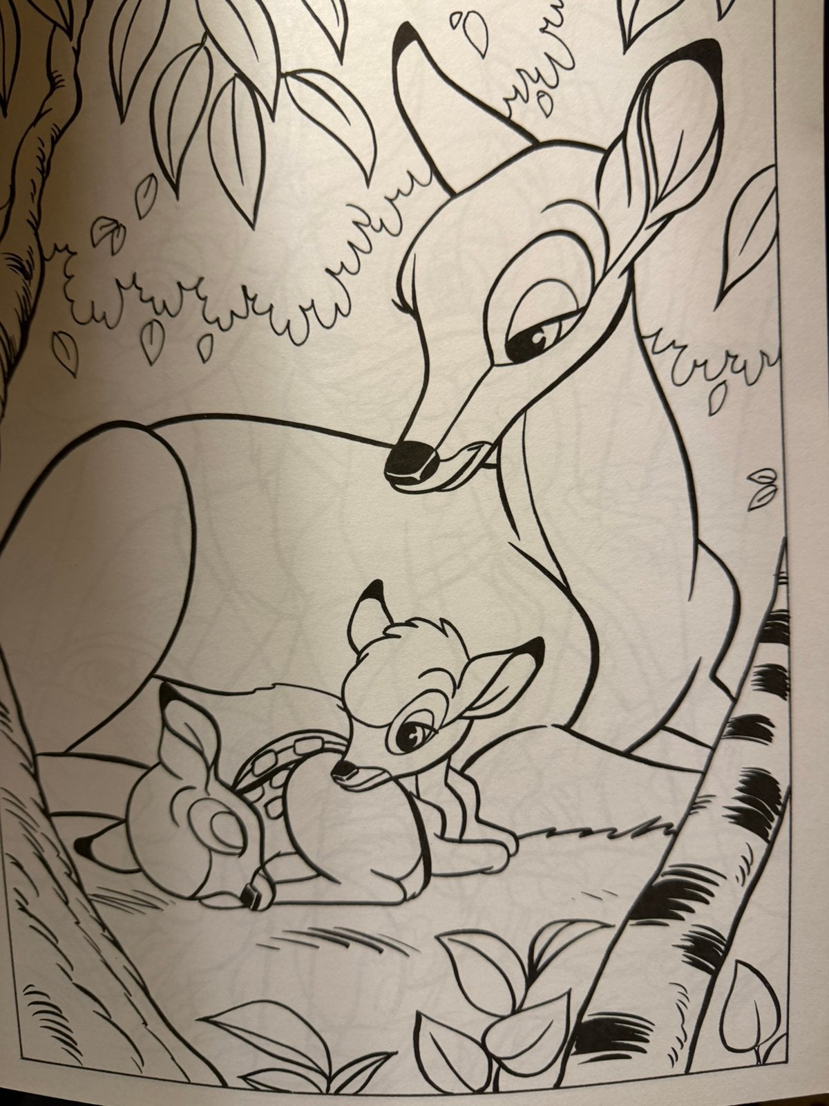 Disney kleurboek, Ophalen of Verzenden, Nieuw, Overige typen