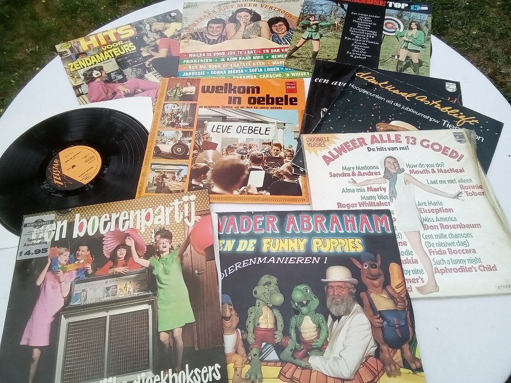 Telstar en piraten lp's, Cd's en Dvd's, Vinyl | Nederlandstalig, Ophalen of Verzenden, Gebruikt, 12 inch, Levenslied of Smartlap