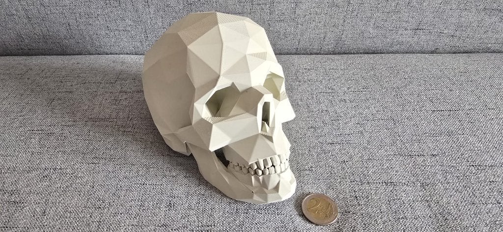 Kunststof schedel, Ophalen, Nieuw, Versiering, Halloween of Griezel