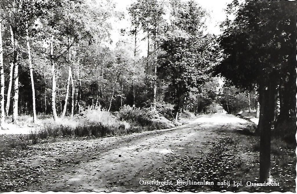 Ossendrecht- -Bieduinenlaan., Verzamelen, Ansichtkaarten | Nederland, Verzenden, 1960 tot 1980, Ongelopen, Noord-Brabant