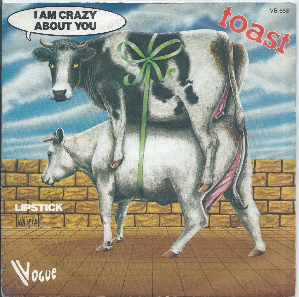 Vinyl Single Toast, Ophalen of Verzenden, Gebruikt, Pop
