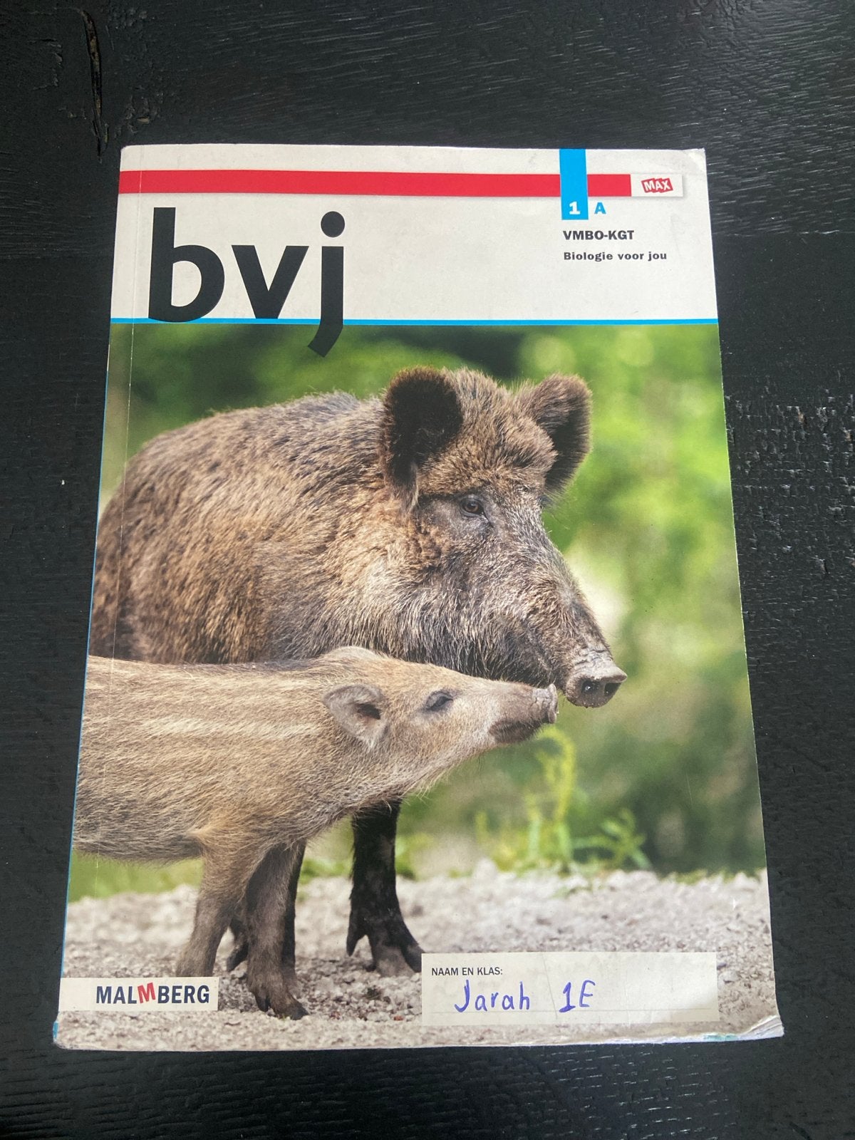 bvj Biologie voor jou 1 VMBO-KGT deel A, Ophalen of Verzenden, Gelezen, VMBO, Biologie