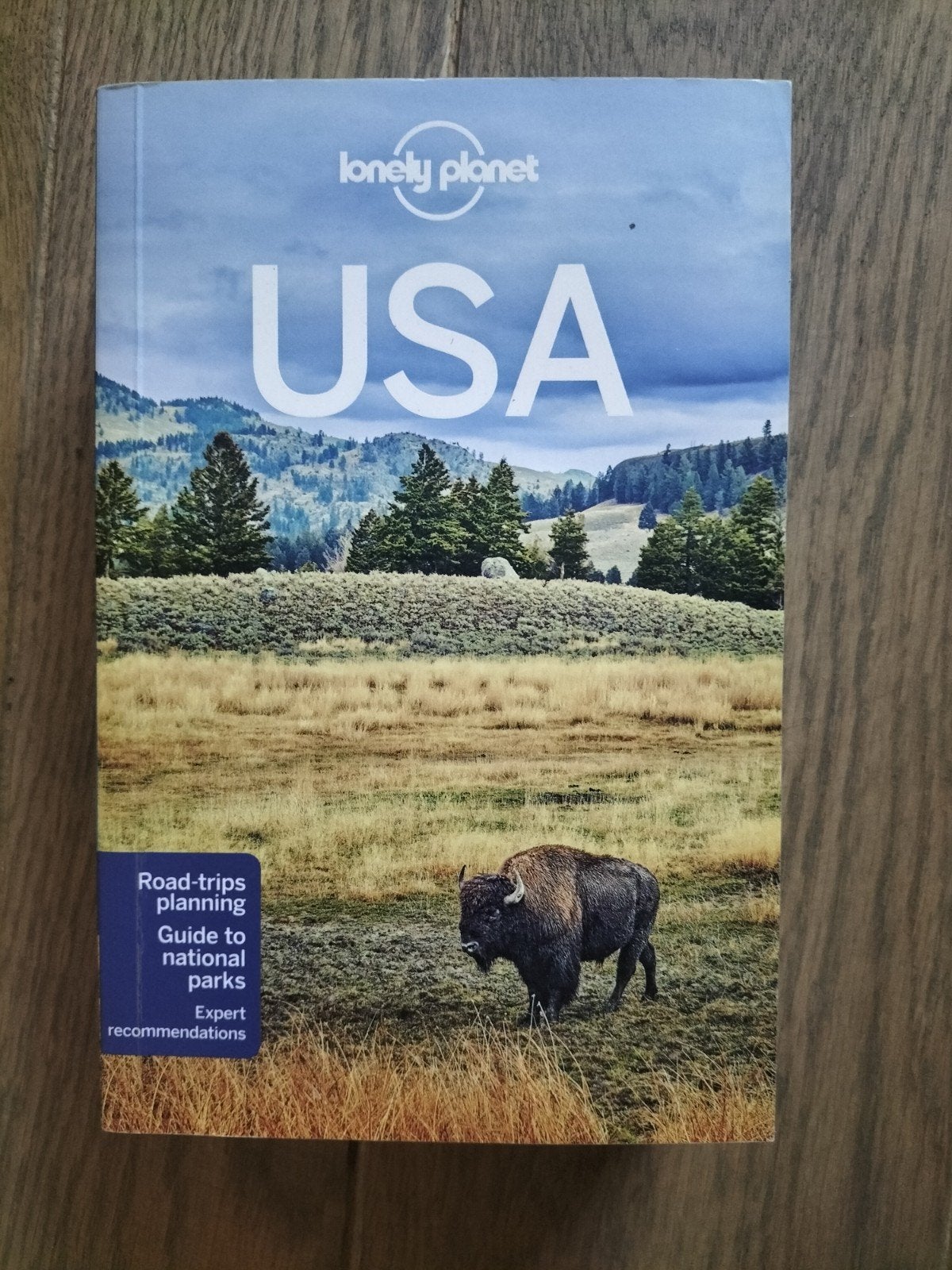 USA Lonely Planet, Overige merken, Europa, Ophalen of Verzenden, Zo goed als nieuw