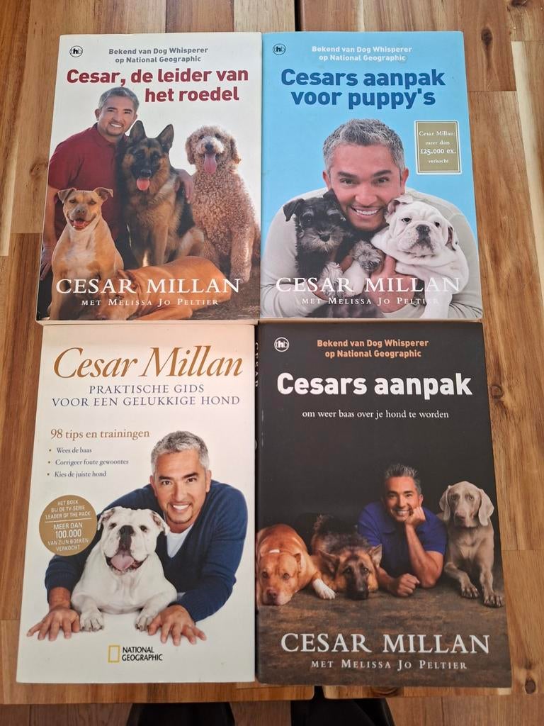 4 boeken van Cesar Millan, Ophalen of Verzenden, Gelezen, Gelderland