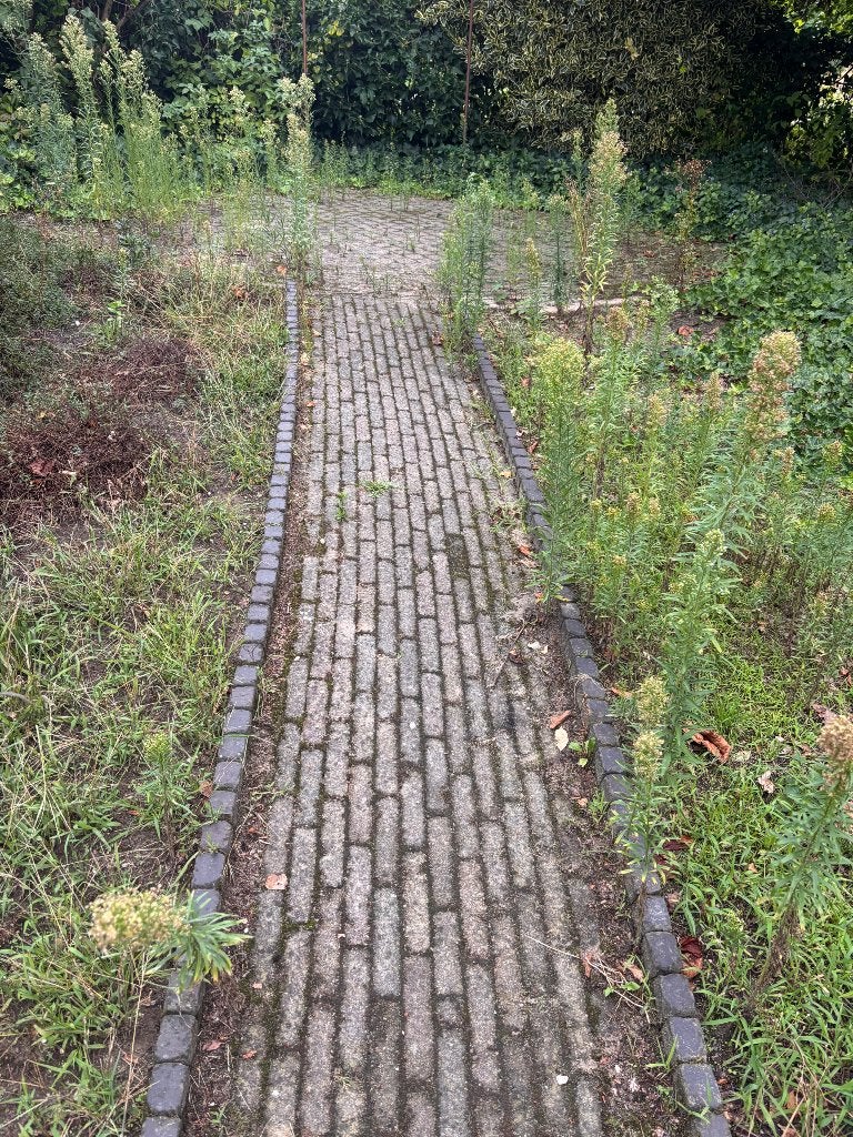 Klinkers gratis, Ophalen, Gebruikt, Beton, Terrastegels