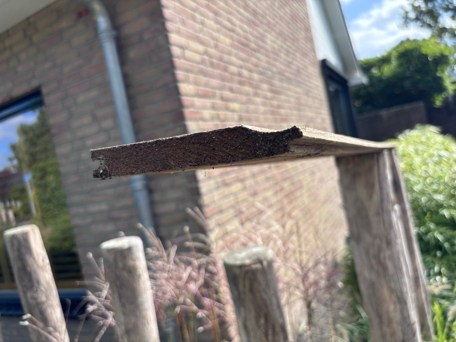 Gebruikte houten planken, diverse afmetingen, Geïmpregneerd, Gebruikt, Minder dan 25 mm, Ophalen of Verzenden