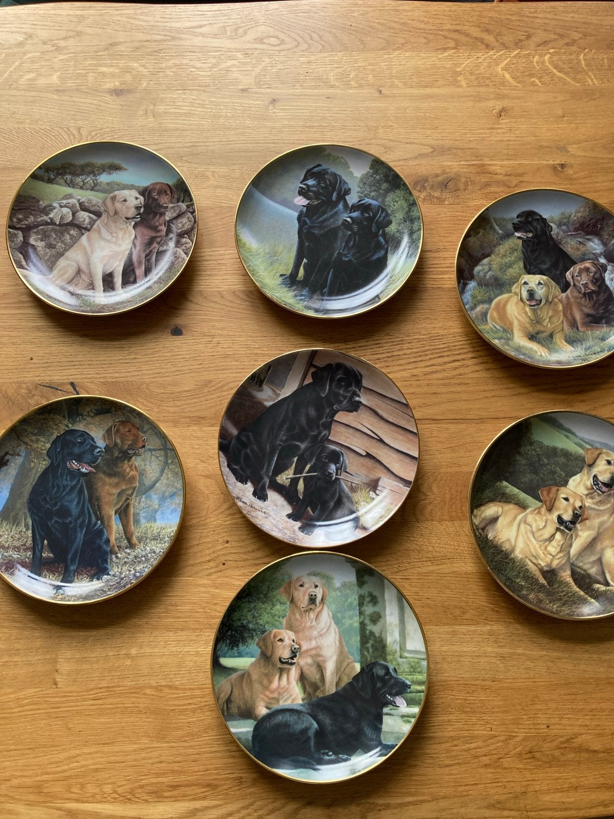 Franklin Mint Labrador Honden Sierborden Collectie, Ophalen of Verzenden, Zo goed als nieuw