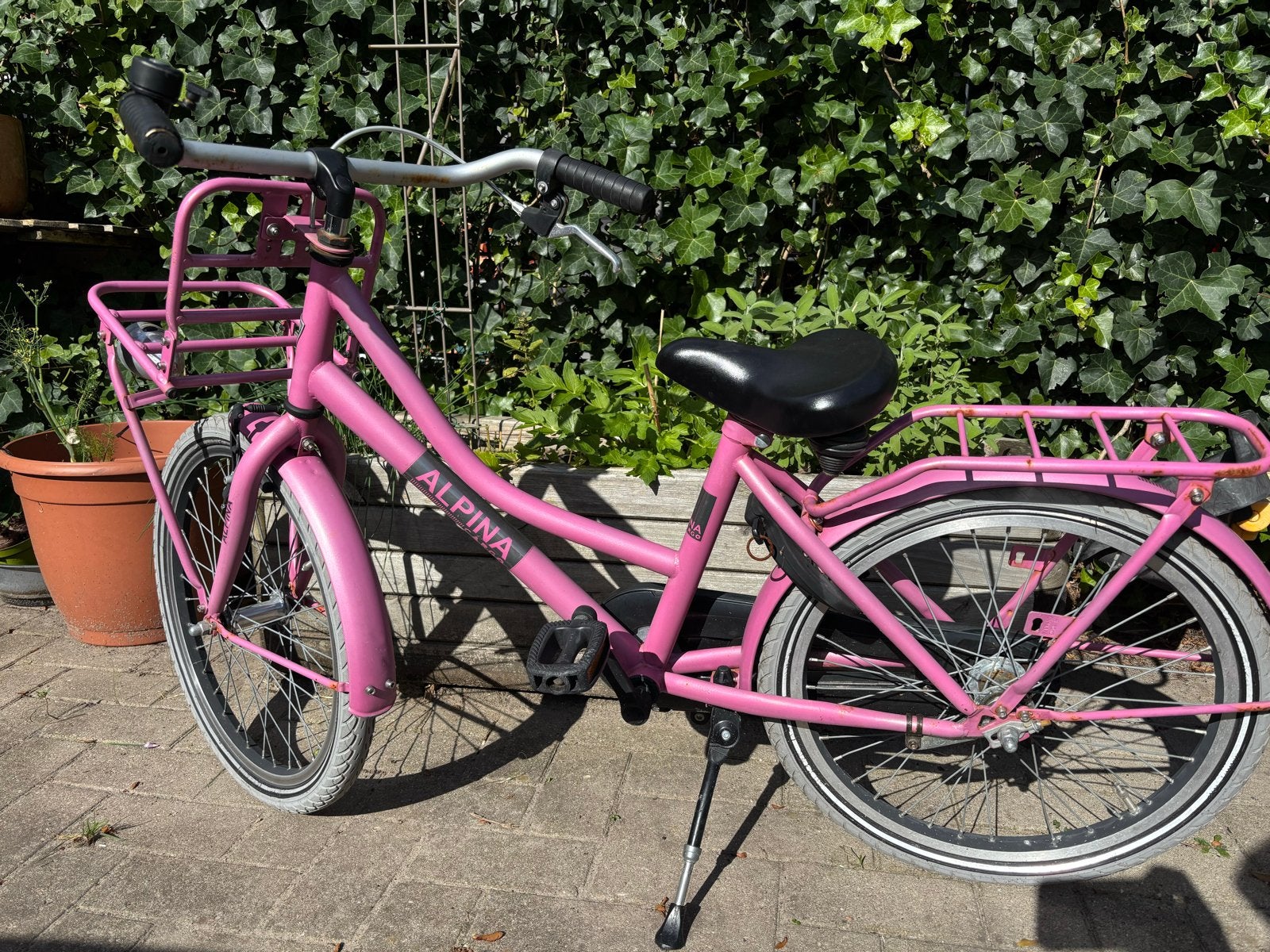 Alpina Cargo meisjesfiets - Roze - 20 inch, Fietsen en Brommers, Ophalen, Terugtraprem, Gebruikt, Handrem