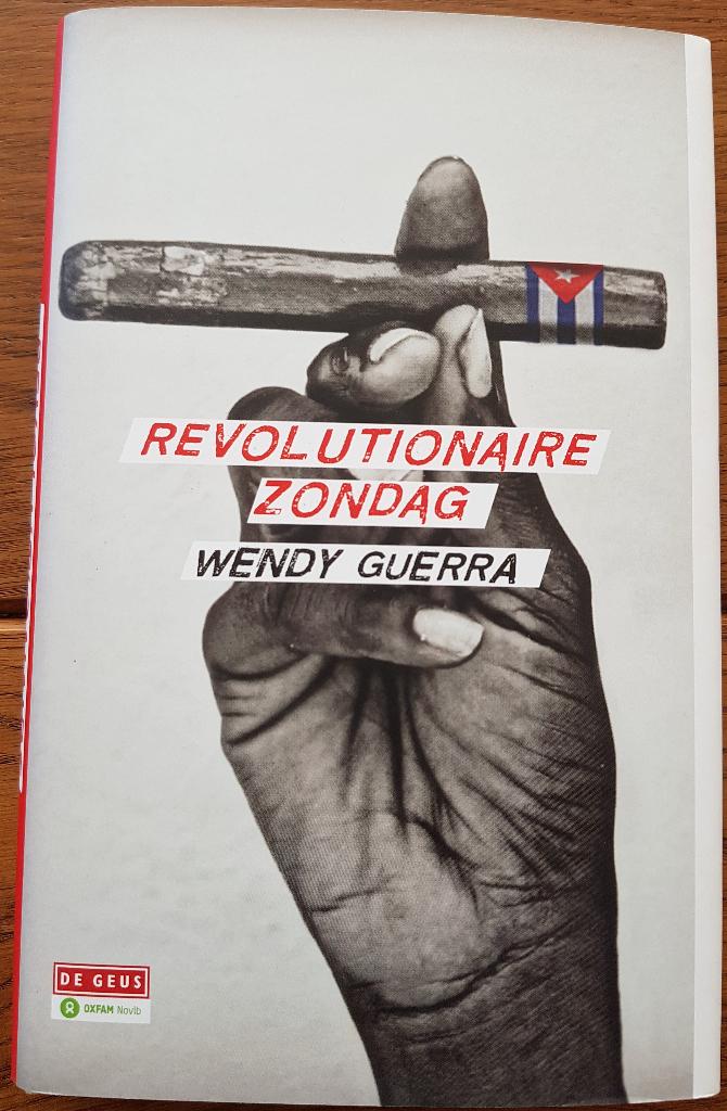 Boek: Revolutionare Zondag van Wendy Guerra, Boeken, Ophalen of Verzenden, Gelezen, Wendy Guerra