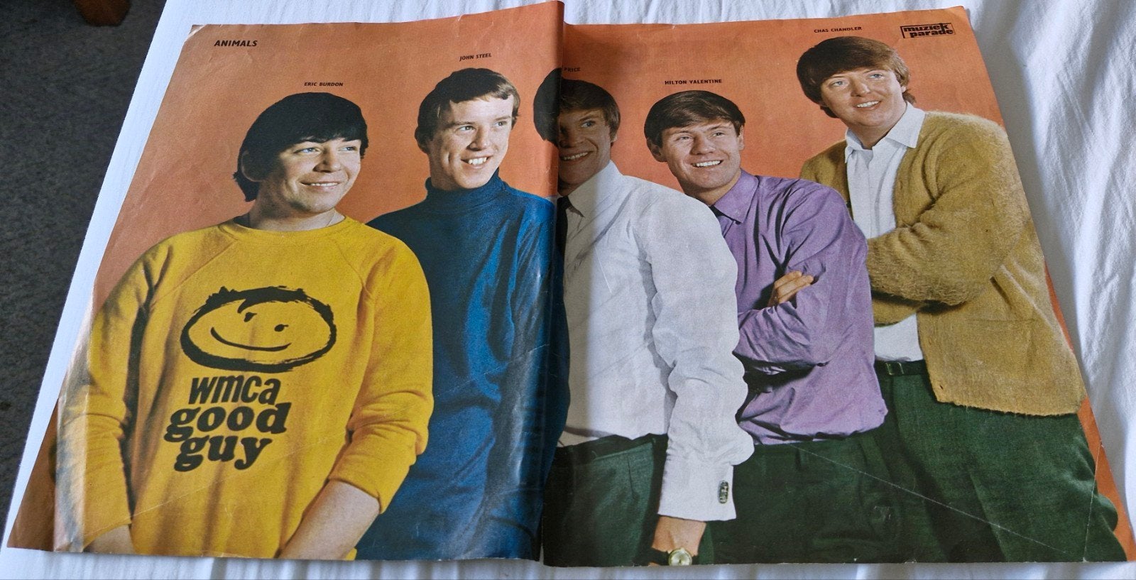 posters  The Animals jaren 60, Ophalen of Verzenden, Muziek