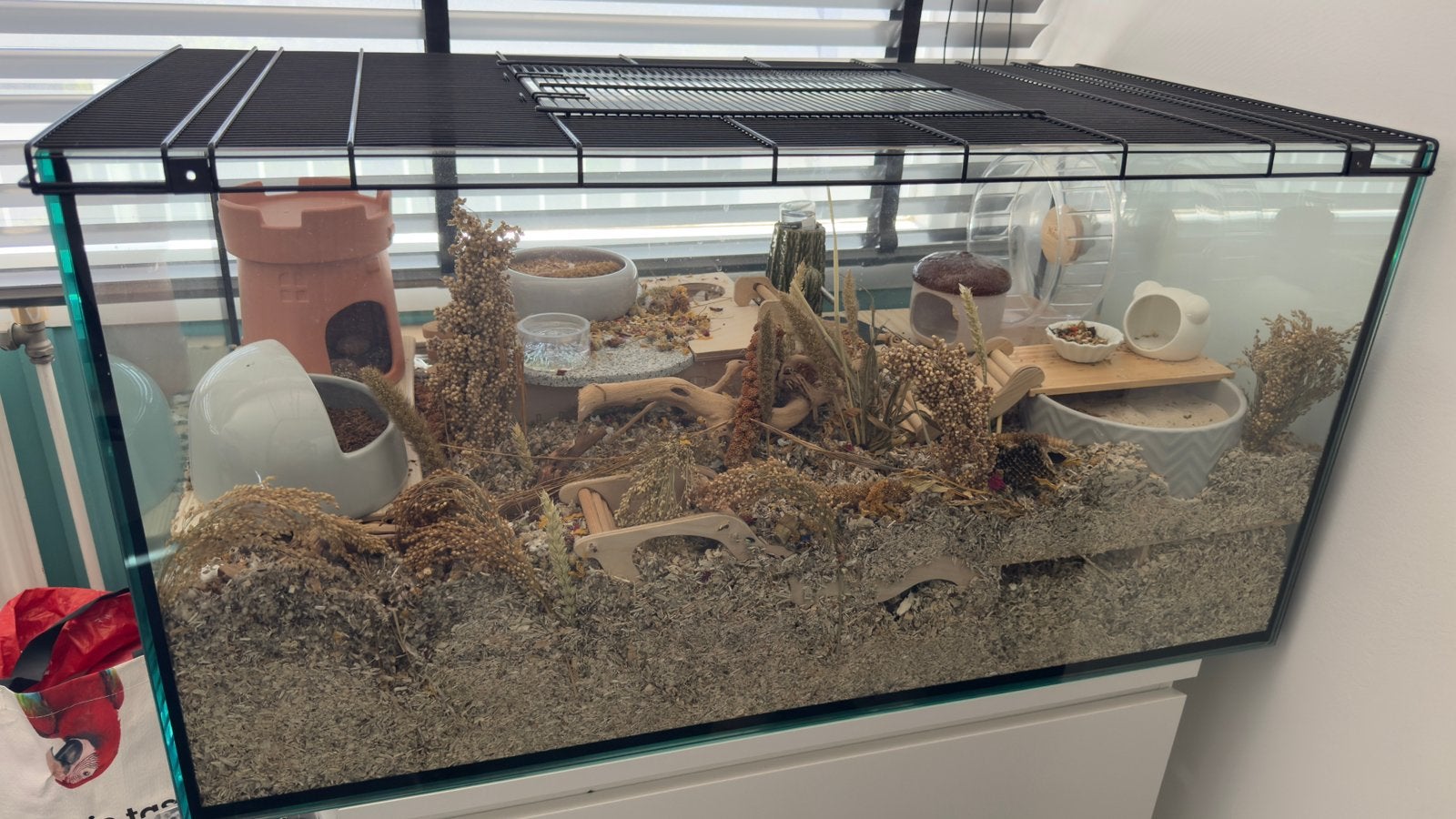 Hamster kooi terrarium met toebehoren, Ophalen, Zo goed als nieuw