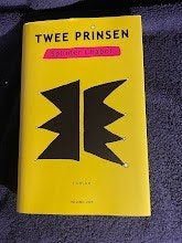 Boek: Twee prinsen – Splinter Chabot., Boeken, Ophalen of Verzenden, Zo goed als nieuw, Splinter Chabot, Nederland
