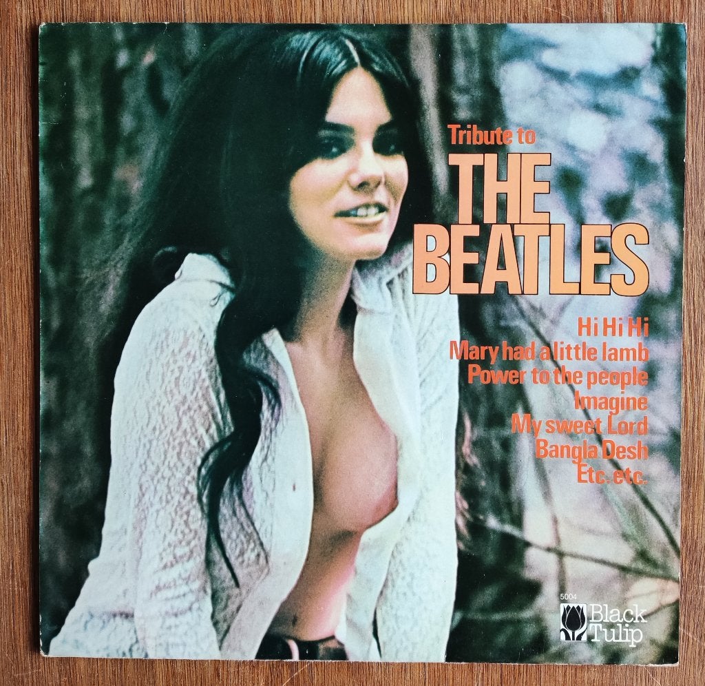 Tribute to The Beatles, Ophalen of Verzenden, Gebruikt, 12 inch, Poprock