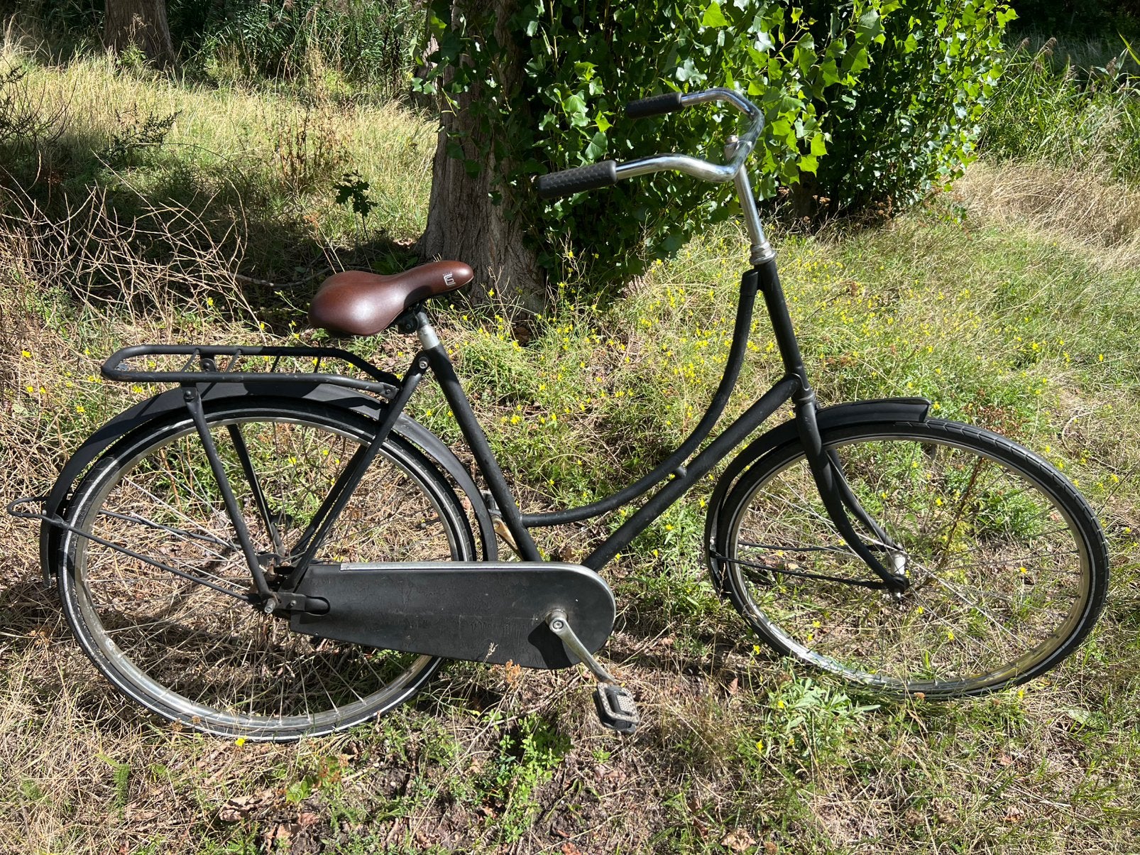 Ladies & Gents Oma bike with pedalbrake in super smooth!, Fietsen en Brommers, 50 tot 53 cm, Ophalen, Zo goed als nieuw, Terugtraprem