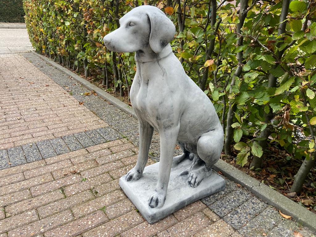 Engelse Jachthond ,Pointer,Weimaraner, Tuin en Terras, Tuinbeelden, Nieuw, Dierenbeeld, Beton, Ophalen