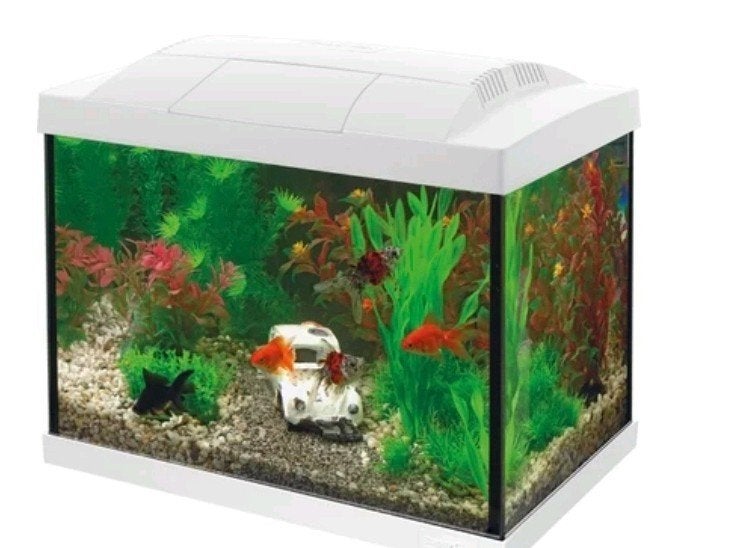 aquarium incl toebehoren, Ophalen, Zo goed als nieuw, Leeg aquarium, Superfish