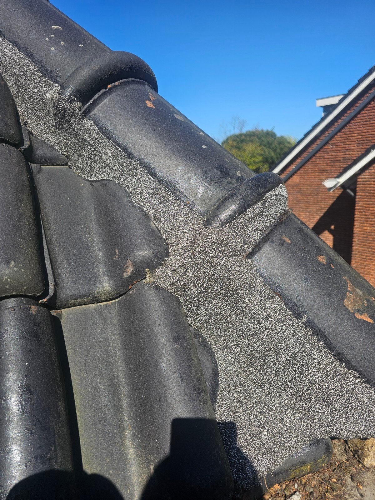 Dakdekker Arnhem & omgeving | 20+ jaar ervaring | Reparatie