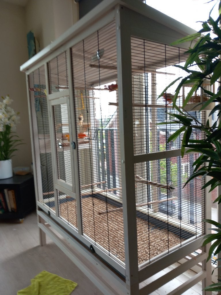 Ferplast Wilma binnenvoliere, Dieren en Toebehoren, Ophalen, Zo goed als nieuw, Hout, Volière