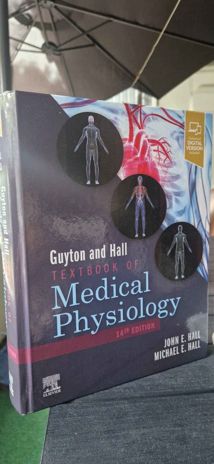Guyton and Hall Textbook of Medical Physiology 14e, Boeken, John E. Hall, Michael E. Hall, Ophalen of Verzenden, Beta, WO