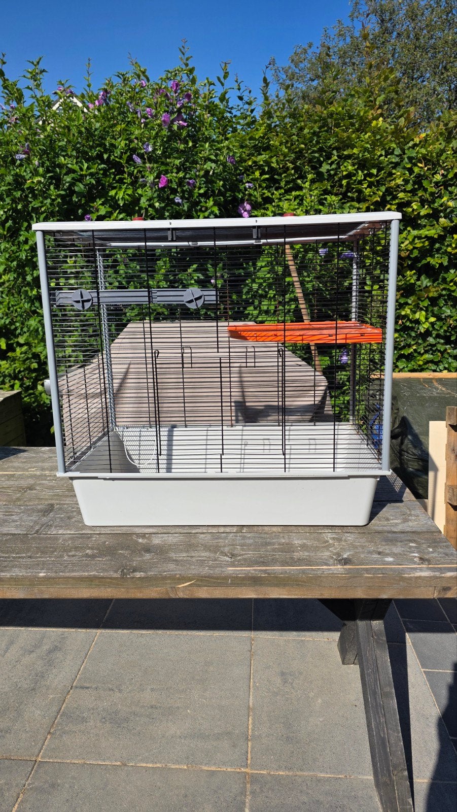 Rattenkooi + toebehoren, Ophalen, Kooi, Gebruikt, 60 tot 90 cm