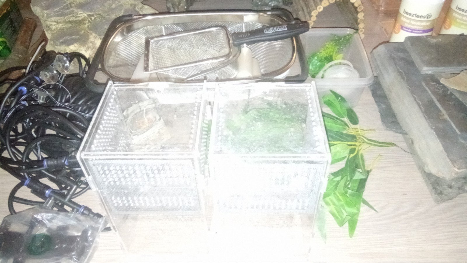 Diverse assesoires voor terrarium, Ophalen
