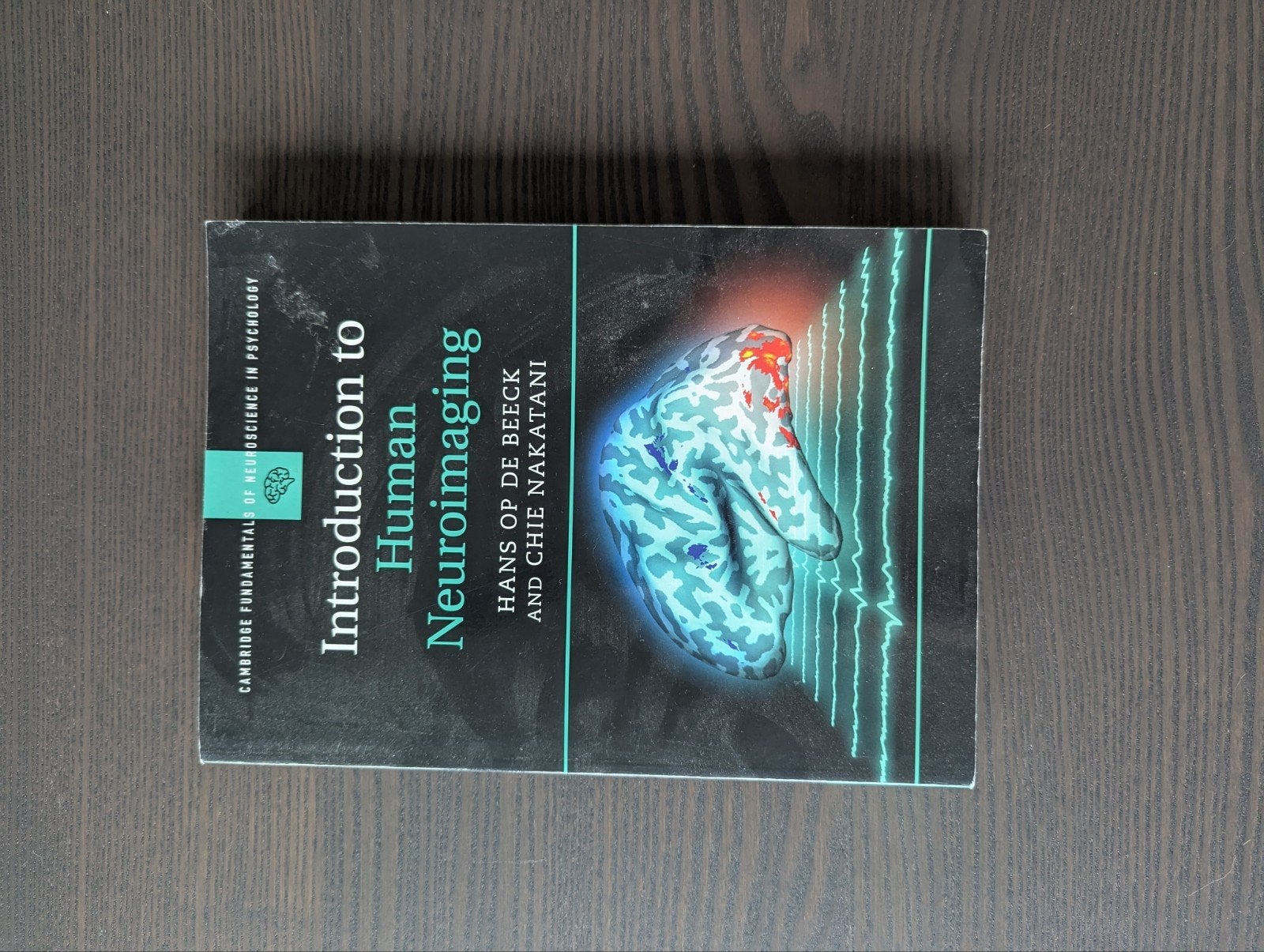 9781316632185 Introduction to Human Neuroimaging, Boeken, Hans Op de Beeck en Chie Nakatani, Nieuw, Ophalen of Verzenden, WO