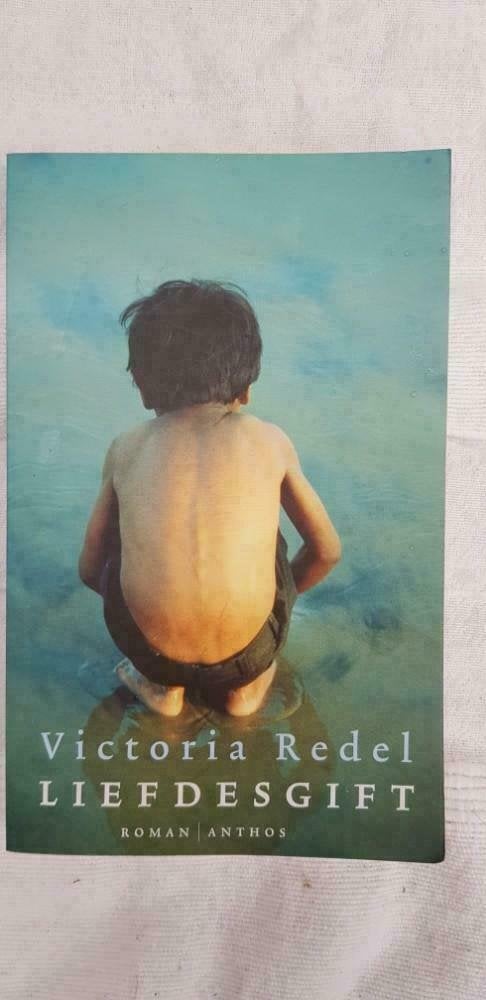 Victoria Redel LIEFDESGIFT  isbn 9789041406163, Ophalen of Verzenden, Gelezen
