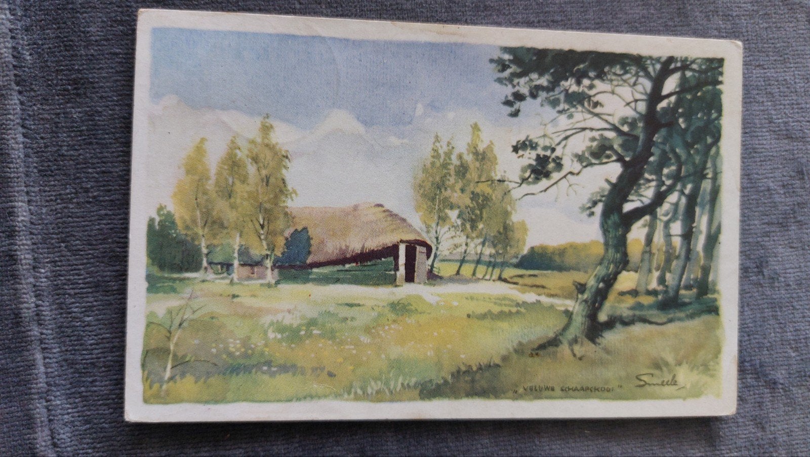 Smeele, "Veluwe schaapskooi", Verzenden, 1940 tot 1960, Gelopen, Overige thema's