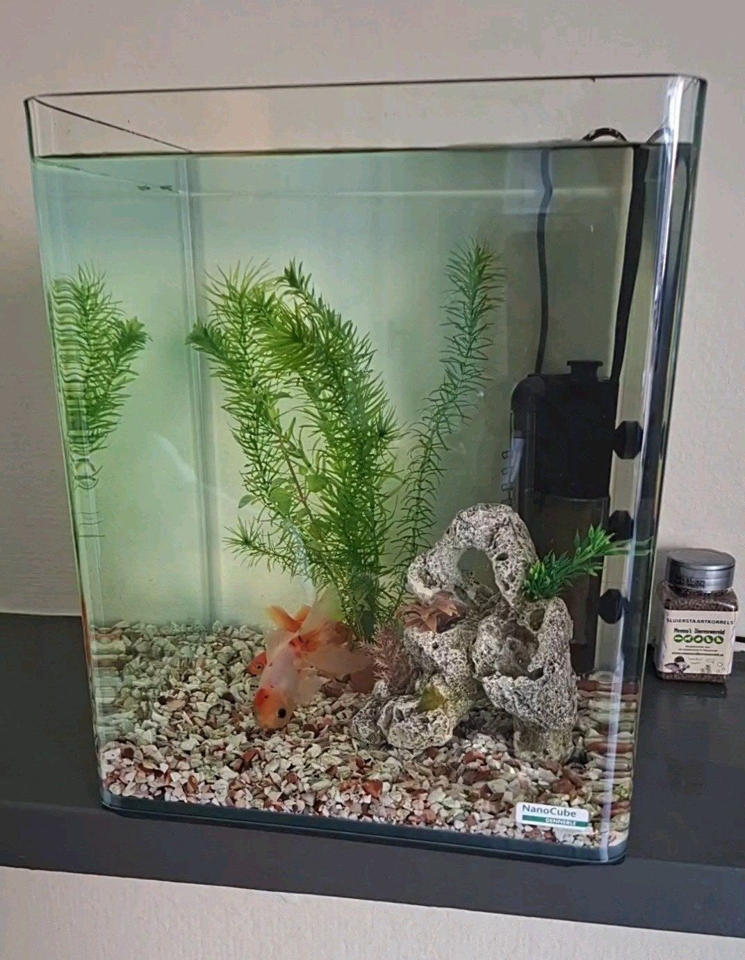 Vissenkom, Dieren en Toebehoren, Vissen | Aquaria en Toebehoren, Zo goed als nieuw, Leeg aquarium, Ophalen