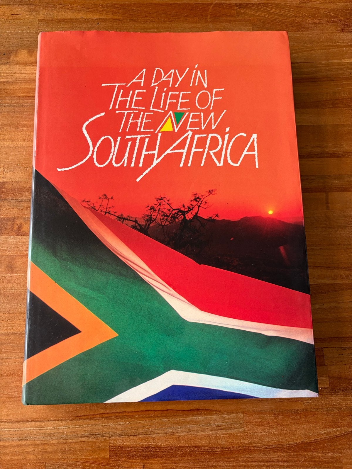 A Day in the Life of the New South Africa Boek, Boeken, Ophalen of Verzenden, 20e eeuw of later, Zo goed als nieuw, Afrika