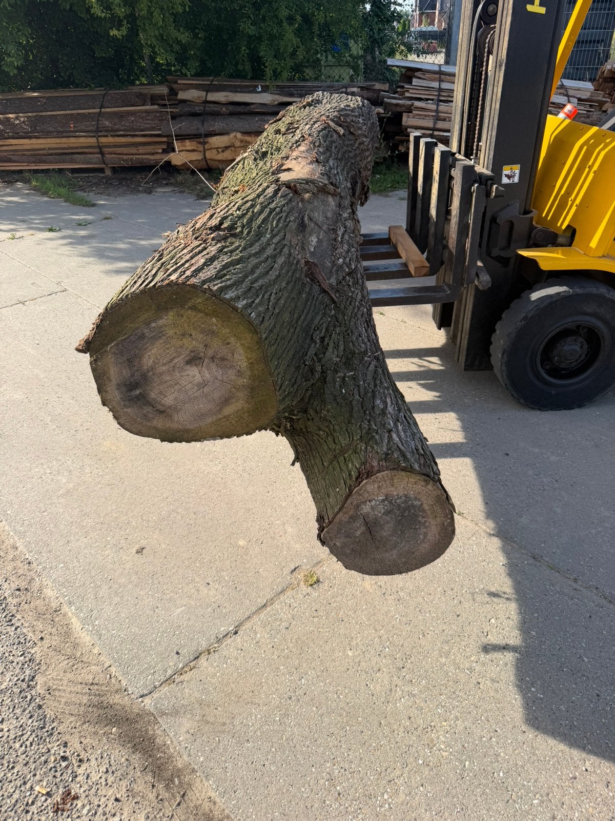 Mooie iepen stam 340x70cm, Minder dan 3 m³, Ophalen