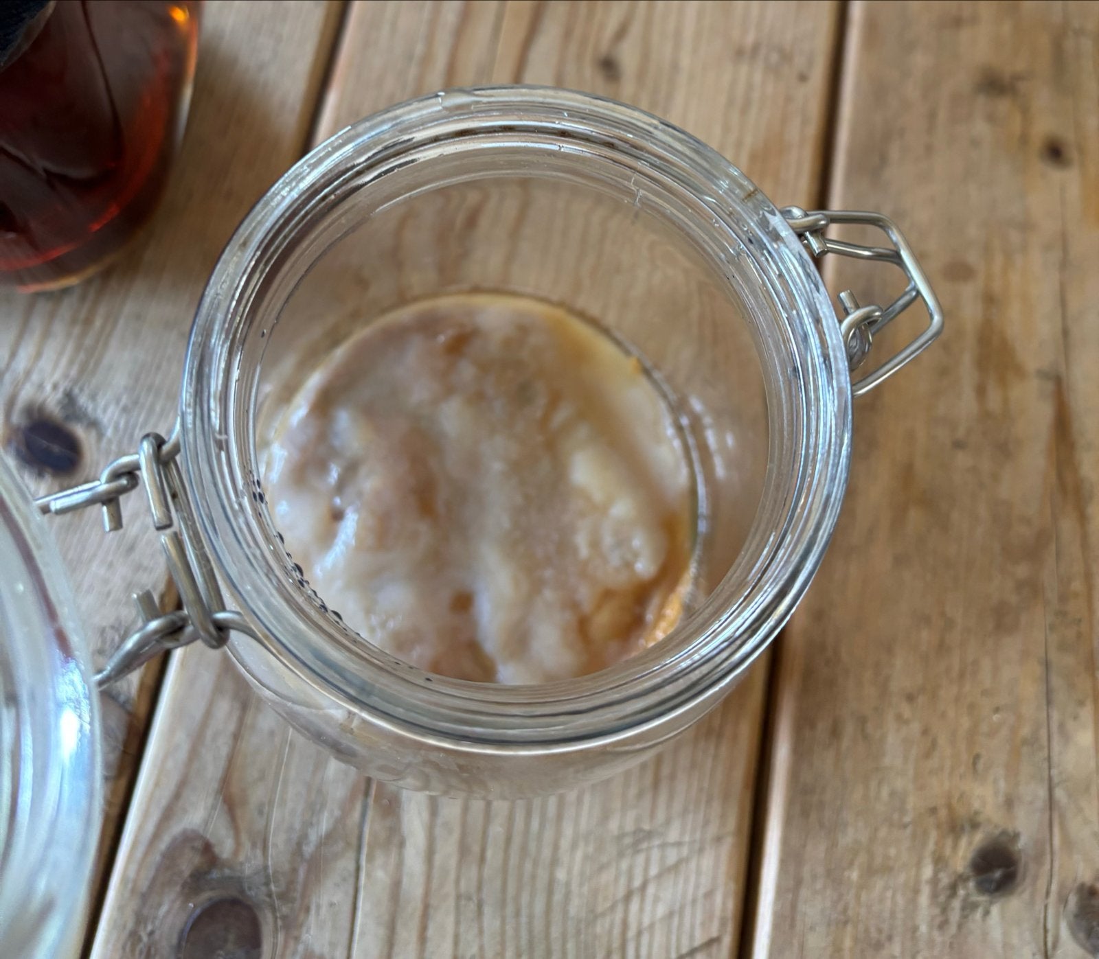 Gratis scoby - kombucha maken, Ophalen